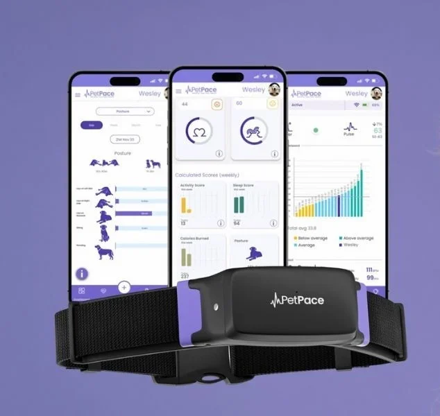 Collar Technologies: Smart Solutions for Pets, People, and Livestock