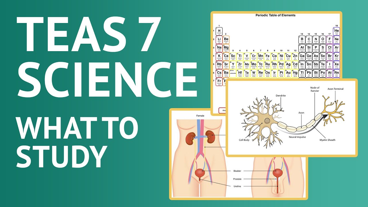 TEAS Science Chegg: A Complete Guide for Students